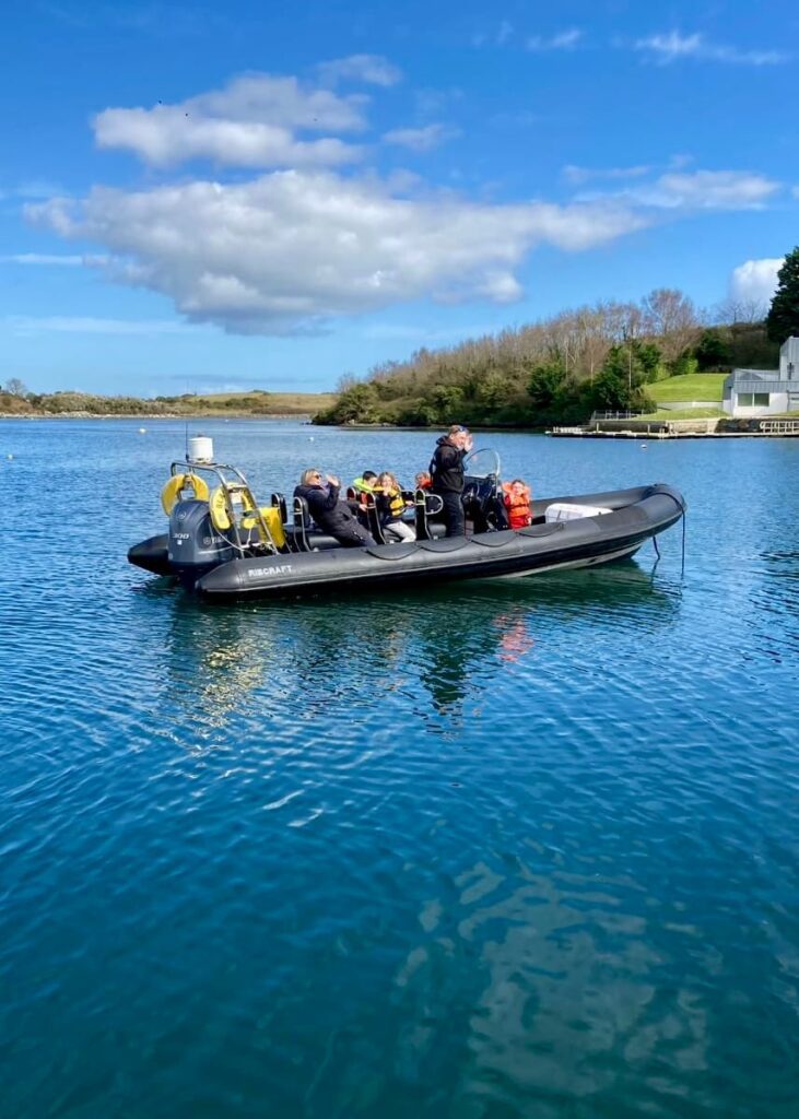 Boat Tours Strangford Lough