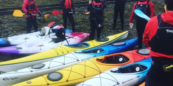 Group With Colorful Kayaks Ready To Launch