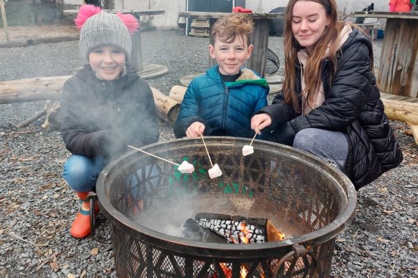 Kids Toasting Marshmallows Over Fire Pit