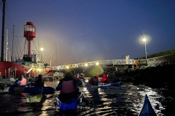 Night Kayaking Harbour Lights